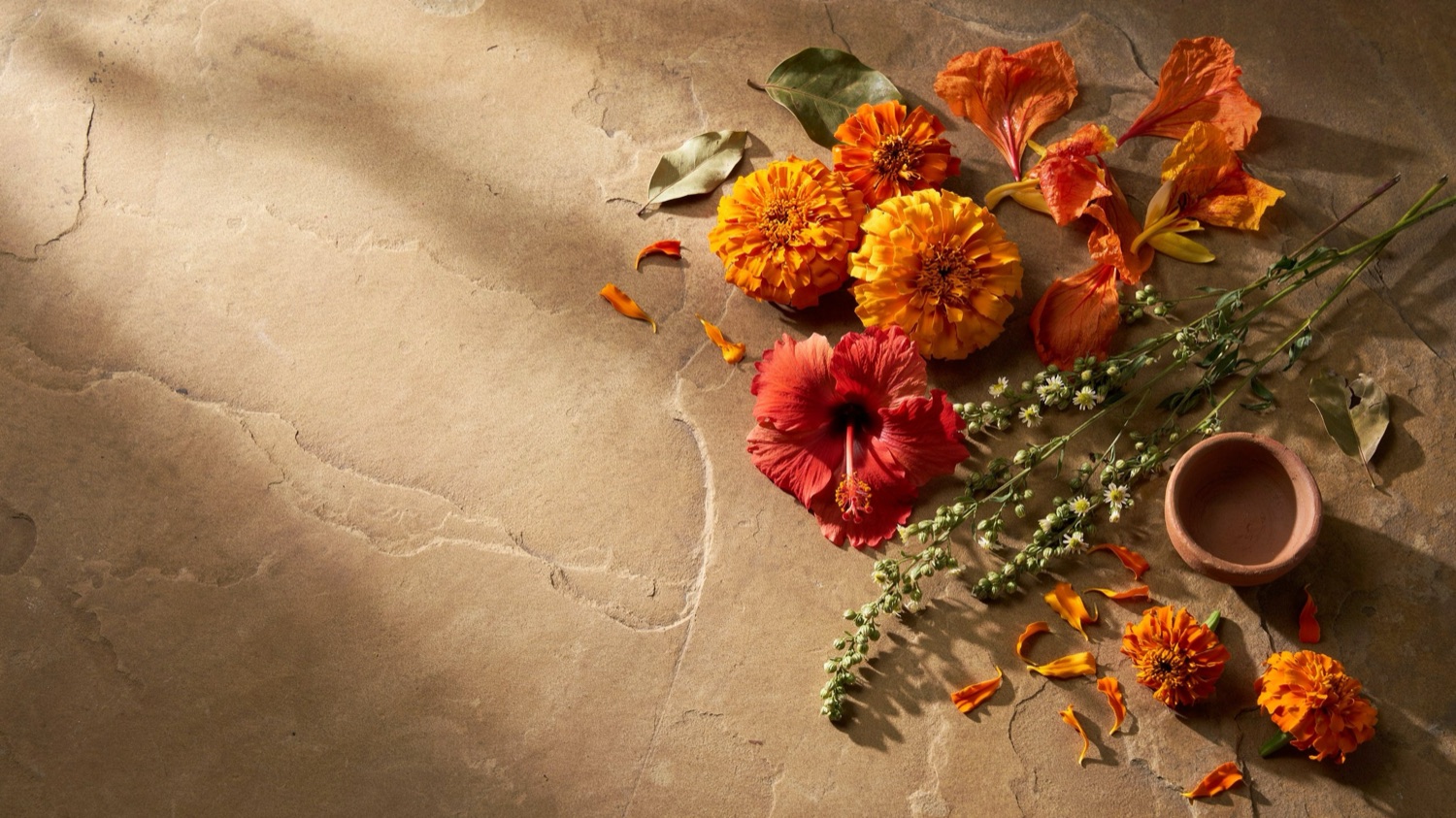 Botanicals and herbs in morning light